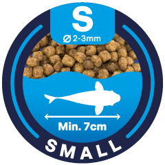 Taille : small