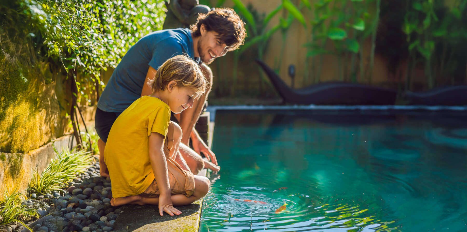 Nourriture pour koïs – Des passionnés admirent des carpes koïs dans un bassin, illustrant l’importance d’une alimentation adaptée.