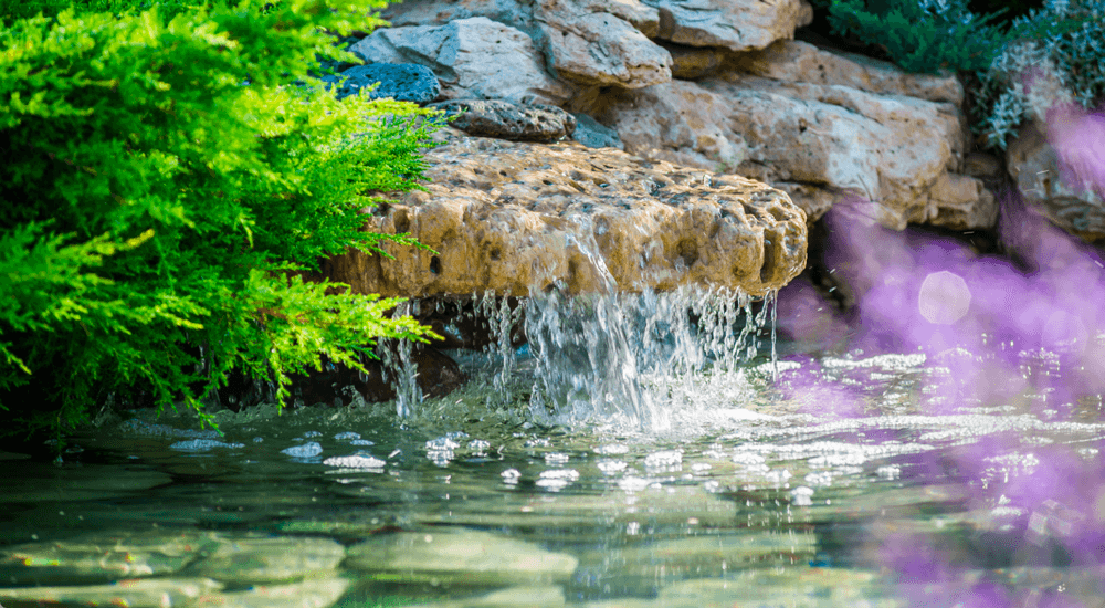 Aquatic Science – Produits écologiques pour bassins, respectueux de l’environnement et de la biodiversité.