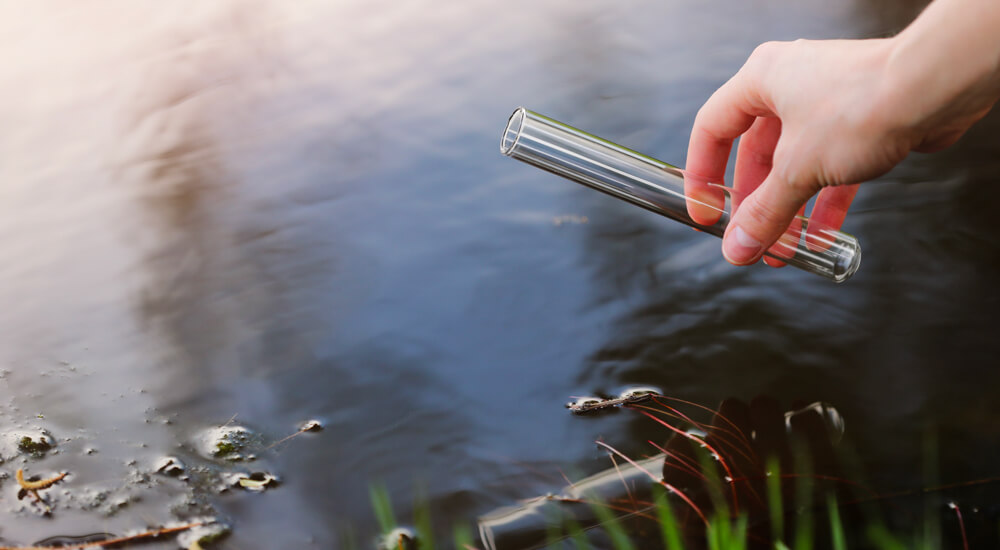 Nourriture pour koïs – Expertise scientifique d’Aquatic Science pour une alimentation saine et équilibrée.